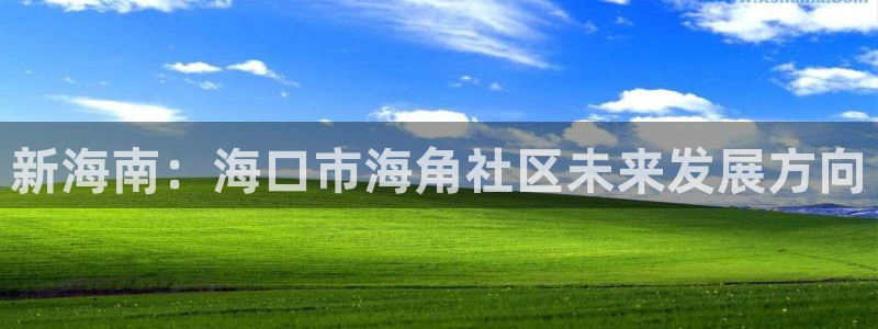 海角社区管网下载：新海南：海口市海角社区未来发展方向