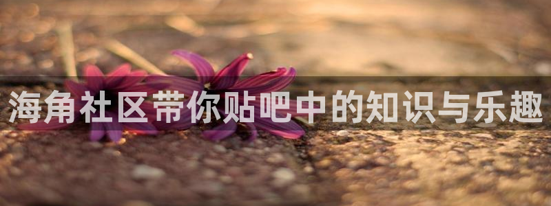 海角社区破解脚本：海角社区带你贴吧中的知识与乐趣