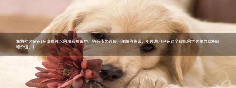 海角社区aop：海角社区钻石(在海角社区的精彩故事中，钻石作为连接与理解的纽带，引领着用户在这个虚拟的世界里寻找归属和价值。)
