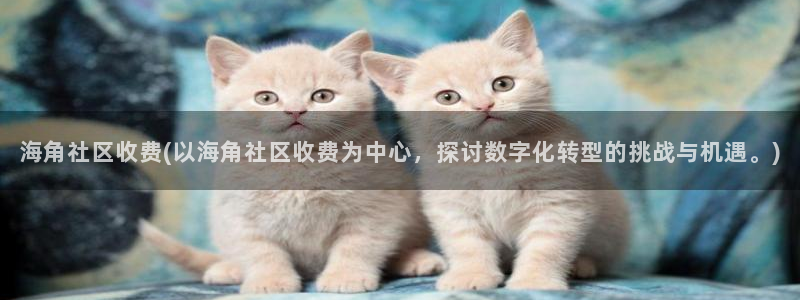 海角社区aqq：海角社区收费(以海角社区收费为中心，探讨数字化转型的挑战与机遇。)