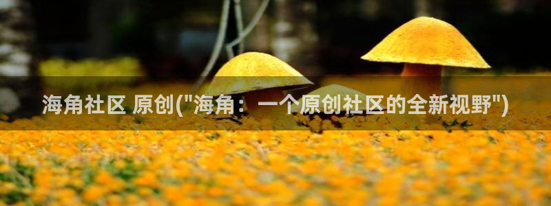 海角社区club：海角社区 原创(\