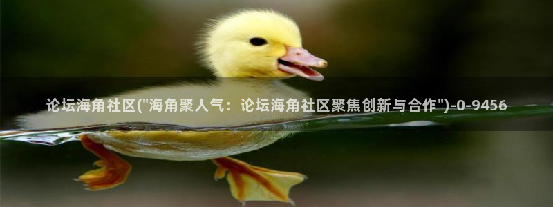 海角社区视频下载看不了：论坛海角社区(\