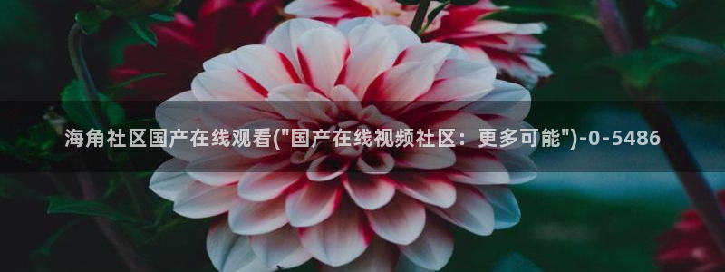 海角社区访问：海角社区国产在线观看(\