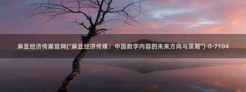 麻豆精选