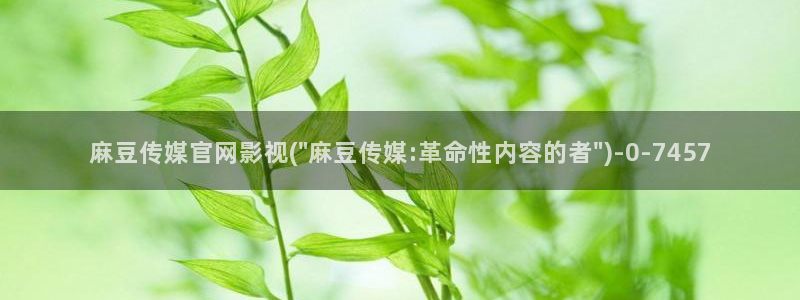 麻豆视频 高清在线看