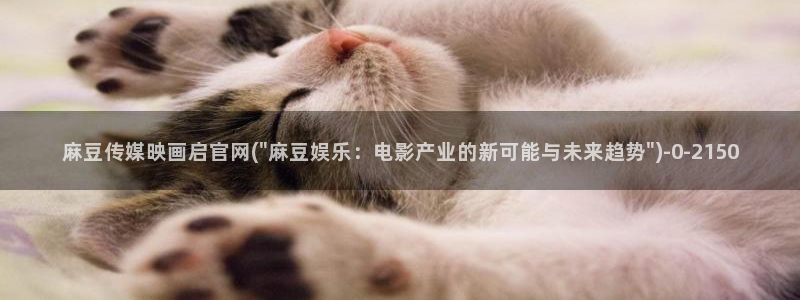 麻豆 更新合集