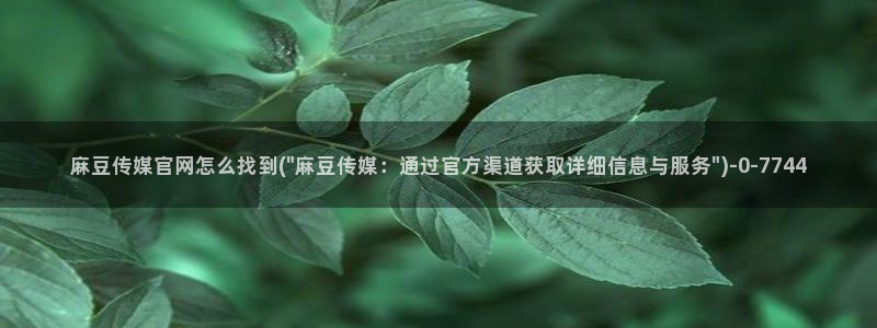 麻豆视频 在线看在线看：麻豆传媒官网怎么找到(\