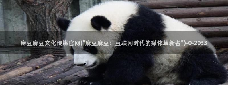 麻豆视频 下载推荐：麻豆麻豆文化传媒官网(\