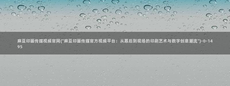 麻豆视频资源整理：麻豆印画传媒视频官网(\