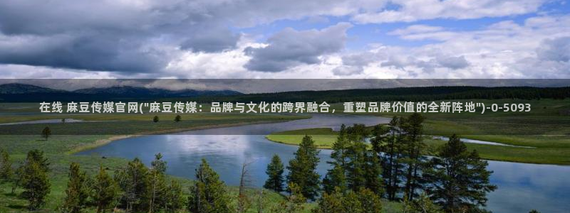 麻豆视频 精选：在线 麻豆传媒官网(\