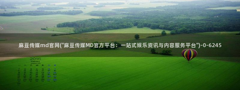 麻豆视频 站