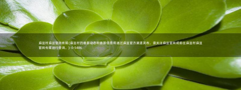 麻豆视频更新视频：麻豆村麻豆官网传媒(麻豆村的最新动态和