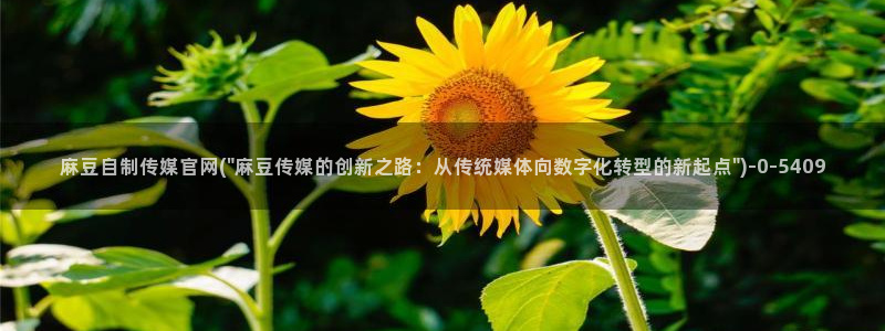 麻豆视频短片更新：麻豆自制传媒官网(\