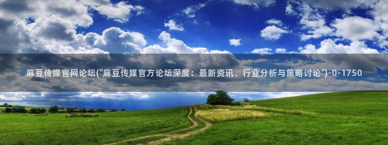 麻豆合集完整版：麻豆传媒官网论坛(\