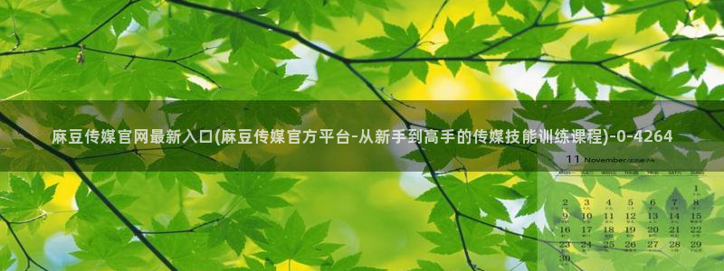 麻豆视频推荐入口