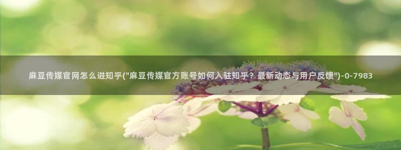麻豆 入口最新：麻豆传媒官网怎么进知乎(\