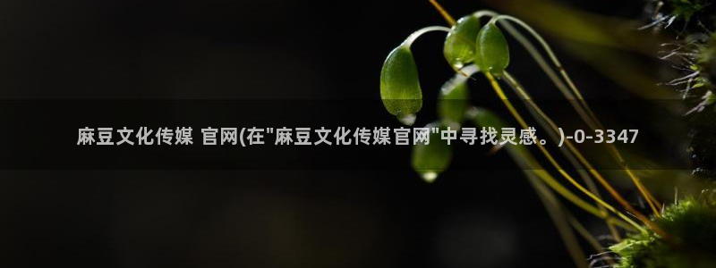 麻豆视频资源导航