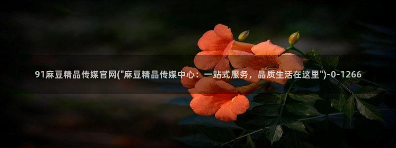 麻豆视频完整版导航：91麻豆精品传媒官网(\