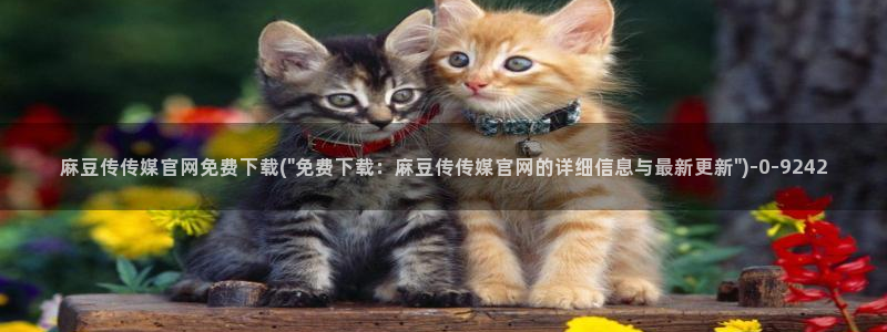 麻豆视频在线看高清：麻豆传传媒官网免费下载(\