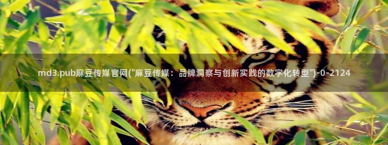 麻豆视频合集推荐：md3.pub麻豆传媒官网(\