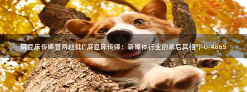 麻豆视频 推荐整理：麻豆床传媒官网地批(\